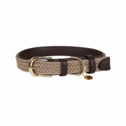 Kentucky Dogwear Nylon Hondenhalsband