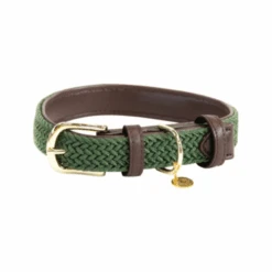 Kentucky Dogwear Nylon Hondenhalsband 39 Kentucky Dogwear Nylon Hondenhalsband -KONG Verkoopwinkel kentucky dogwear nylon gevlochten olive green ml 58 cm 134856 0500 none