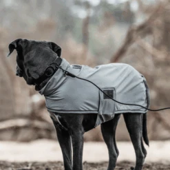 Kentucky Dogwear Soft Rubber Hondenhalsband -KONG Verkoopwinkel kentucky dogwear soft rubber hondenhalsband 219265 0500 none