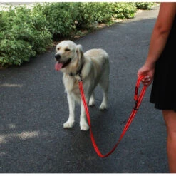 KONG Adjustable Leash -KONG Verkoopwinkel kong adjustable leash zwart 176938 2000 none