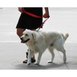 KONG Adjustable Leash -KONG Verkoopwinkel kong adjustable leash zwart 176941 1000 none