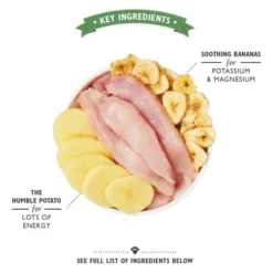 Lily's Kitchen Hondenvoer - Blik 39 Lily's Kitchen Hondenvoer - Blik -KONG Verkoopwinkel lilys kitchen hondenvoer blik 202352 0500 none