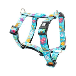 Max & Molly H-Hondenharnas - Blue Ocean -KONG Verkoopwinkel max molly h hondenharnas blue ocean 221605 2000 none