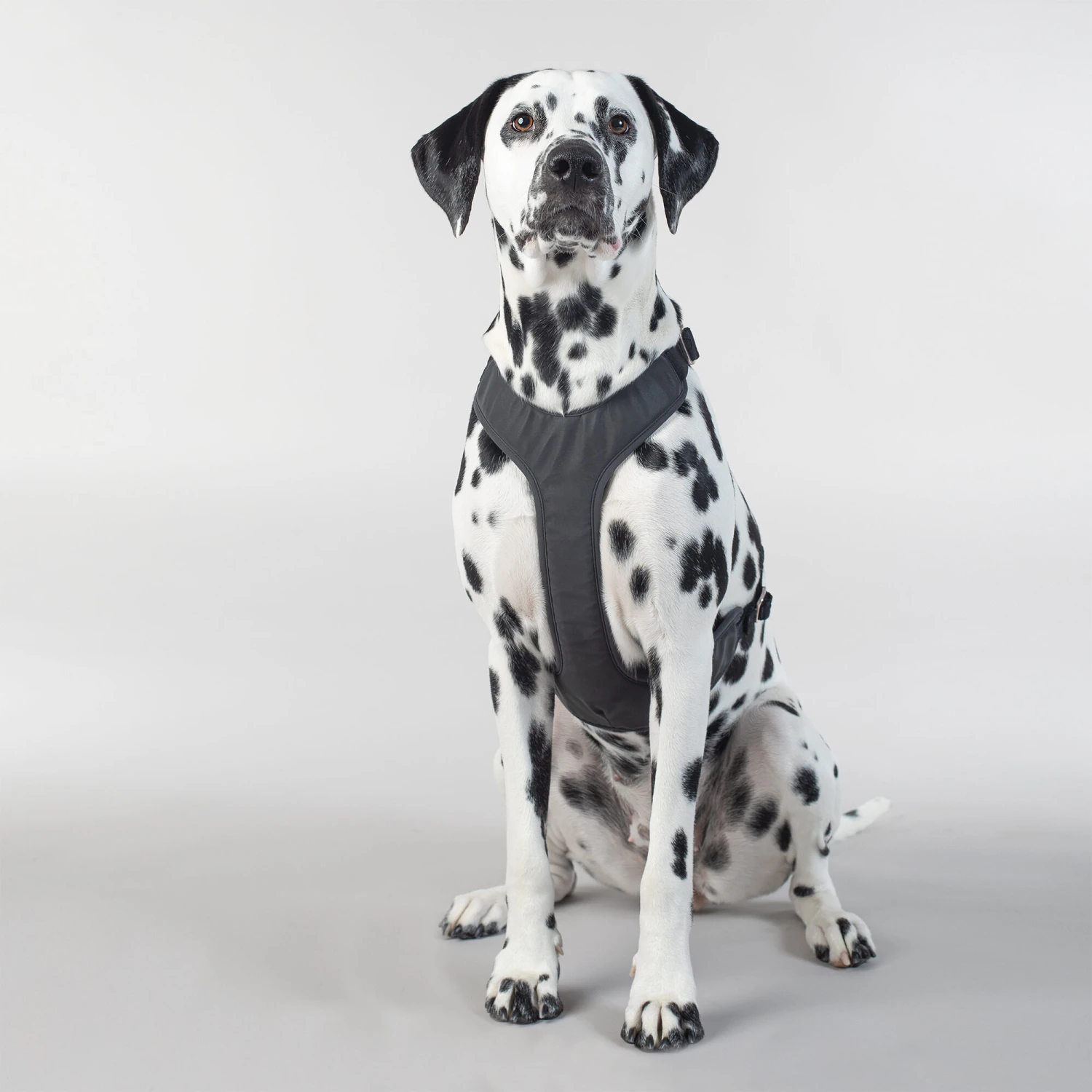 PAIKKA Visibility Harness 17 PAIKKA Visibility Harness - Afbeelding 17