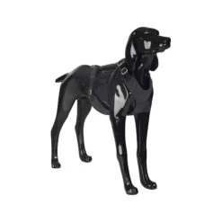 PAIKKA Visibility Harness 32 PAIKKA Visibility Harness -KONG Verkoopwinkel paikka visibility harness 217815 2000 none