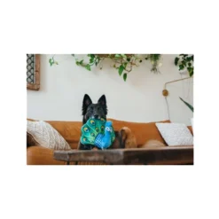 P.L.A.Y. Fetching Flock - Peacock -KONG Verkoopwinkel play fetching flock peacock 182614 0500 none