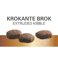 Prins Protection Croque Super Performance -KONG Verkoopwinkel prins protection croque super performance 172045 1500 none