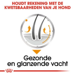 Royal Canin Coat Care Wet - Hondenvoer -KONG Verkoopwinkel prod 8914 131822 1000 none