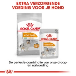 Royal Canin Coat Care Wet - Hondenvoer -KONG Verkoopwinkel prod 8914 131831 1000 none