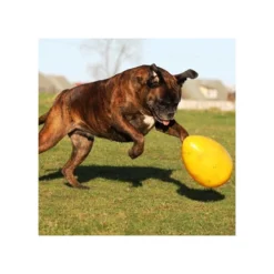 Jolly Egg -KONG Verkoopwinkel product jolly egg none 4 1496839893 86965