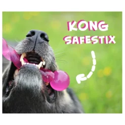 KONG Safestix -KONG Verkoopwinkel product kong safestix none 4 1458633926 66969
