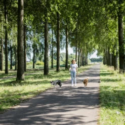 Rebel Petz Verstelbare Duo Riem -KONG Verkoopwinkel rebel petz verstelbare duo riem 208532 2000 none