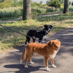 Rebel Petz Verstelbare Duo Riem -KONG Verkoopwinkel rebel petz verstelbare duo riem 208541 2000 none