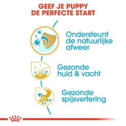 Royal Canin Cocker Puppy - Hondenvoer -KONG Verkoopwinkel royal canin cocker puppy hondenvoer 138223 1000 none