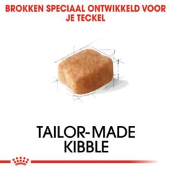 Royal Canin Dachshund Adult - Hondenvoer -KONG Verkoopwinkel royal canin dachshund adult hondenvoer 138274 1000 none