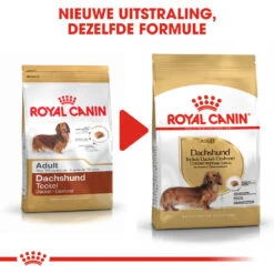 Royal Canin Dachshund Adult - Hondenvoer -KONG Verkoopwinkel royal canin dachshund adult hondenvoer 138292 1000 none
