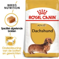 Royal Canin Dachshund Adult - Hondenvoer -KONG Verkoopwinkel royal canin dachshund adult hondenvoer 140510 1000 none