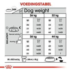 Royal Canin Maxi Dental Care - Hondenvoer -KONG Verkoopwinkel royal canin dental care maxi hondenvoer 130895 1000 none