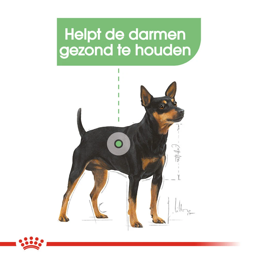 Royal Canin Digestive Care Wet - Hondenvoer 4 Royal Canin Digestive Care Wet - Hondenvoer - Afbeelding 4