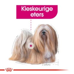 Royal Canin Exigent Wet - Hondenvoer -KONG Verkoopwinkel royal canin exigent wet hondenvoer 131870 1000 none