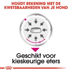 Royal Canin Exigent Wet - Hondenvoer -KONG Verkoopwinkel royal canin exigent wet hondenvoer 131888 1000 none