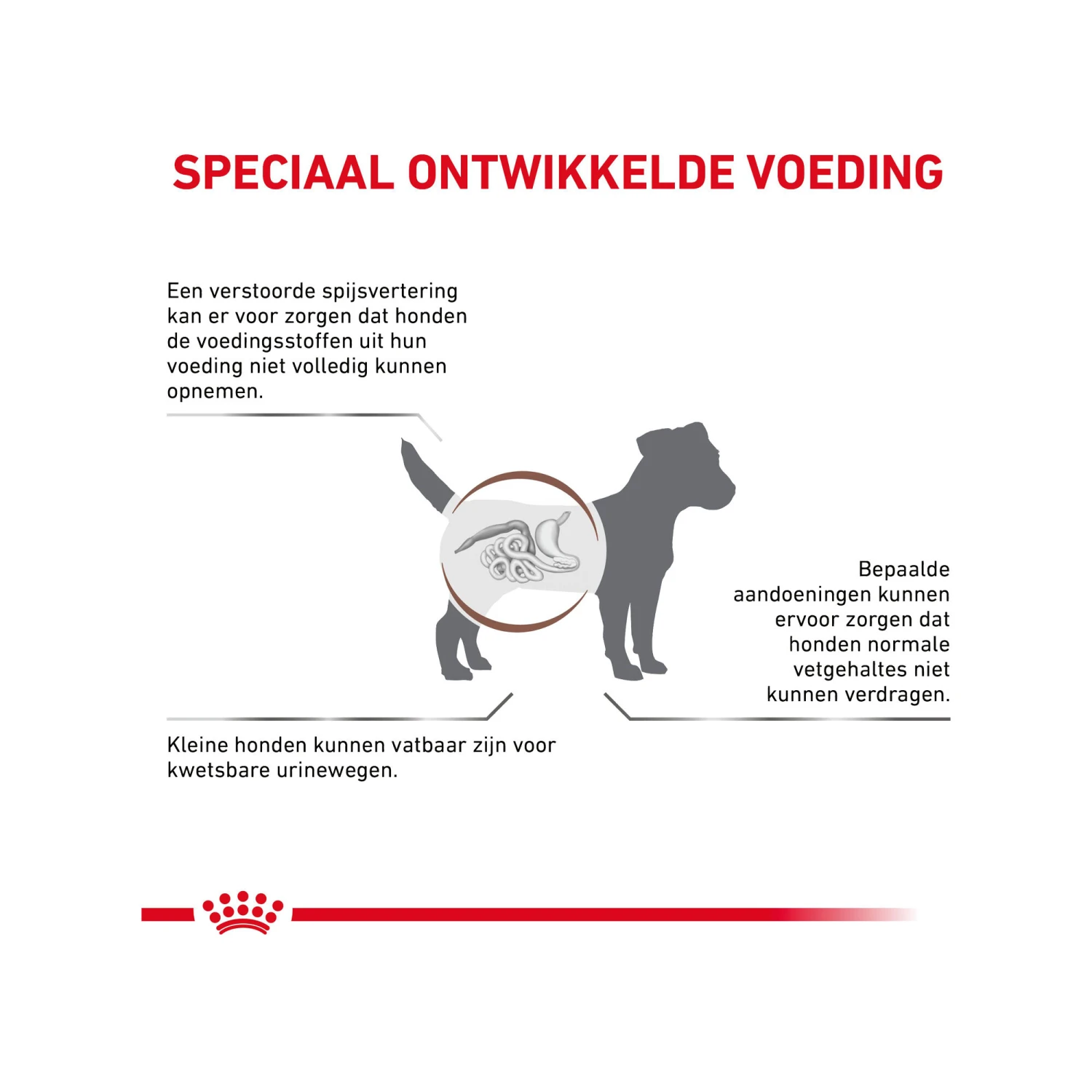 Royal Canin Gastrointestinal Low Fat Kleine Hond 4 Royal Canin Gastrointestinal Low Fat Kleine Hond - Afbeelding 4
