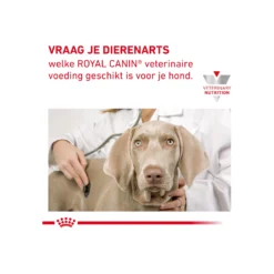 Royal Canin Gastrointestinal Low Fat Kleine Hond 18 Royal Canin Gastrointestinal Low Fat Kleine Hond -KONG Verkoopwinkel royal canin gastrointestinal low fat kleine hond 224105 2000 none