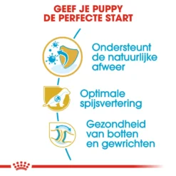 Royal Canin German Shepherd Puppy- Hondenvoer -KONG Verkoopwinkel royal canin german shepherd puppy hondenvoer 138835 1000 none