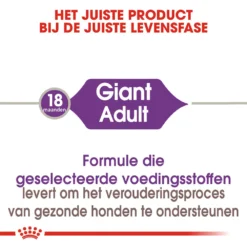 Royal Canin Giant Adult - Hondenvoer -KONG Verkoopwinkel royal canin giant adult hondenvoer 128390 1000 none