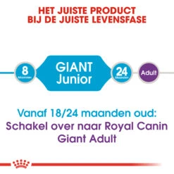 Royal Canin Giant Junior - Hondenvoer -KONG Verkoopwinkel royal canin giant junior 118203 2000 none
