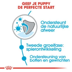 Royal Canin Giant Junior - Hondenvoer -KONG Verkoopwinkel royal canin giant junior 118228 2000 none
