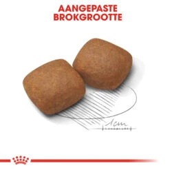 Royal Canin Giant Junior - Hondenvoer -KONG Verkoopwinkel royal canin giant junior 118249 2000 none