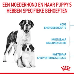 Royal Canin Giant Starter Mother & Babydog - Hondenvoer 13 Royal Canin Giant Starter Mother & Babydog - Hondenvoer -KONG Verkoopwinkel royal canin giant starter mother babydog hondenvoer 206702 2000 none