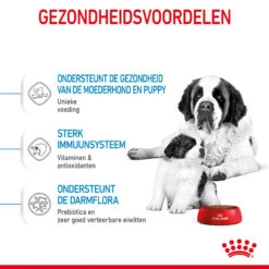 Royal Canin Giant Starter Mother & Babydog - Hondenvoer 14 Royal Canin Giant Starter Mother & Babydog - Hondenvoer -KONG Verkoopwinkel royal canin giant starter mother babydog hondenvoer 206705 2000 none