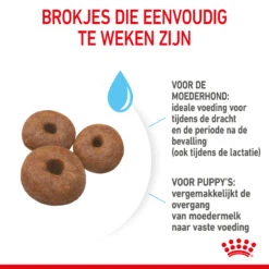 Royal Canin Giant Starter Mother & Babydog - Hondenvoer 15 Royal Canin Giant Starter Mother & Babydog - Hondenvoer -KONG Verkoopwinkel royal canin giant starter mother babydog hondenvoer 206708 2000 none