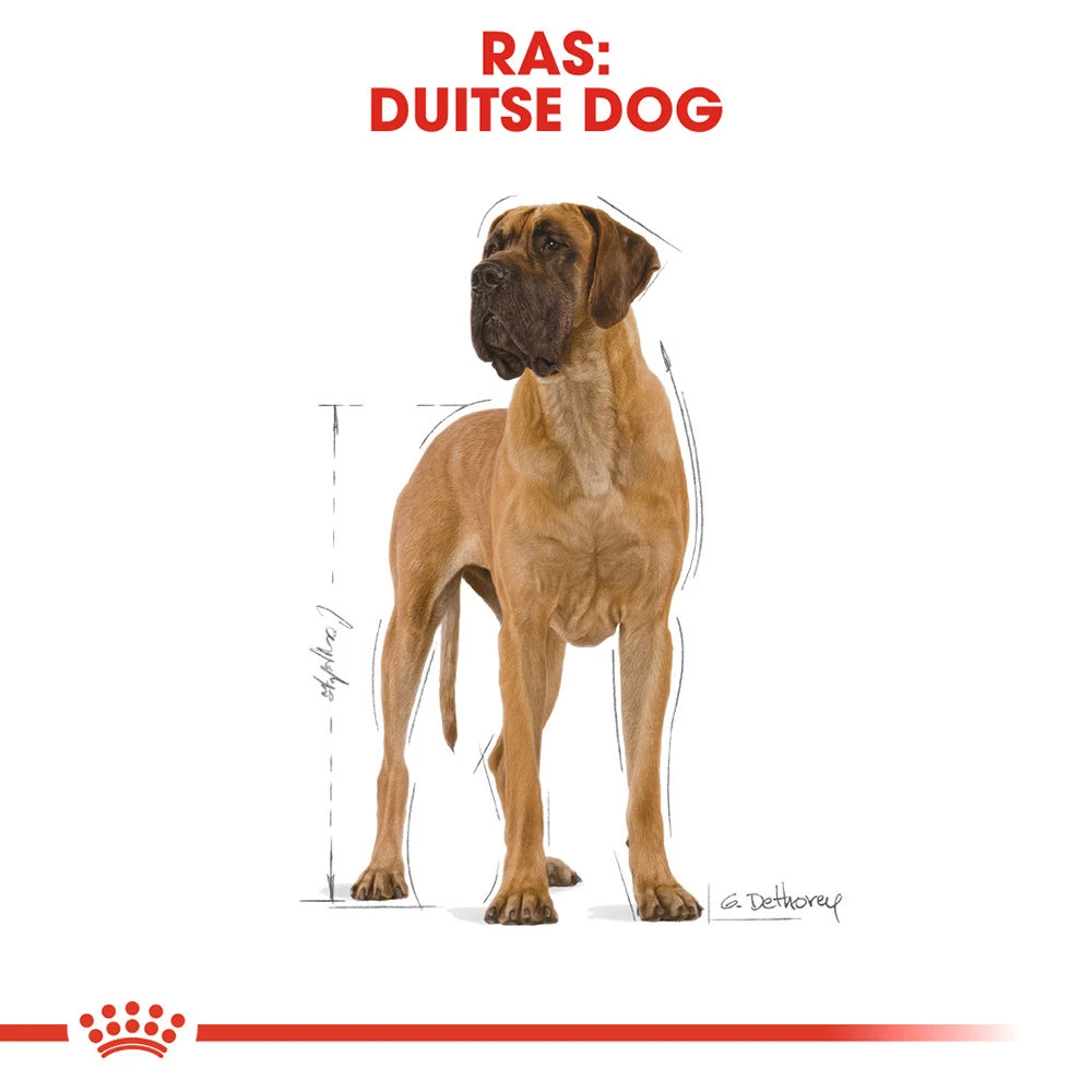 Royal Canin Great Dane Adult - Hondenvoer 5 Royal Canin Great Dane Adult - Hondenvoer - Afbeelding 5