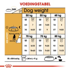 Royal Canin Great Dane Adult - Hondenvoer 15 Royal Canin Great Dane Adult - Hondenvoer -KONG Verkoopwinkel royal canin great dane adult hondenvoer 139036 1000 none