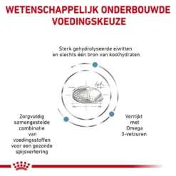 Royal Canin Hypoallergenic Hond - Blik -KONG Verkoopwinkel royal canin hypoallergenic hond 153781 1000 none