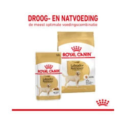 Royal Canin Labrador Retriever Adult Wet 13 Royal Canin Labrador Retriever Adult Wet -KONG Verkoopwinkel royal canin labrador retriever adult wet 165763 2000 none