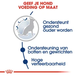 Royal Canin Maxi Ageing 8+ - Hondenvoer -KONG Verkoopwinkel royal canin maxi ageing 8 hondenvoer 128711 1000 none