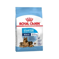 Royal Canin Maxi Starter Mother & Babydog - Hondenvoer -KONG Verkoopwinkel royal canin maxi starter mother babydog 114320 0500 none