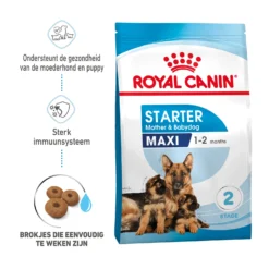 Royal Canin Maxi Starter Mother & Babydog - Hondenvoer -KONG Verkoopwinkel royal canin maxi starter mother babydog hondenvoer 206834 2000 none