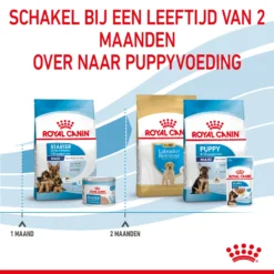 Royal Canin Maxi Starter Mother & Babydog - Hondenvoer -KONG Verkoopwinkel royal canin maxi starter mother babydog hondenvoer 206849 2000 none