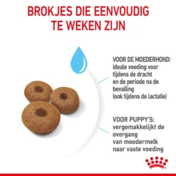 Royal Canin Maxi Starter Mother & Babydog - Hondenvoer -KONG Verkoopwinkel royal canin maxi starter mother babydog hondenvoer 206852 2000 none