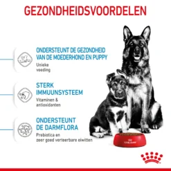 Royal Canin Maxi Starter Mother & Babydog - Hondenvoer -KONG Verkoopwinkel royal canin maxi starter mother babydog hondenvoer 206855 2000 none