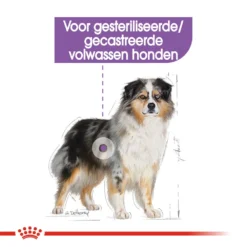 Royal Canin Medium Sterilised - Hondenvoer -KONG Verkoopwinkel royal canin medium sterilised hondenvoer 132917 1000 none