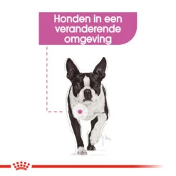 Royal Canin Mini Relax Care - Hondenvoer -KONG Verkoopwinkel royal canin mini relax care hondenvoer 131249 1000 none