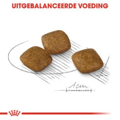 Royal Canin Mini Relax Care - Hondenvoer -KONG Verkoopwinkel royal canin mini relax care hondenvoer 131267 1000 none