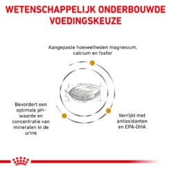 Royal Canin Urinary S/O Hond - Maaltijdzakje 11 Royal Canin Urinary S/O Hond - Maaltijdzakje -KONG Verkoopwinkel royal canin urinary so hond 153679 1000 none 1