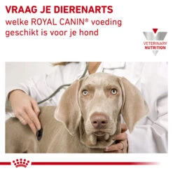 Royal Canin Urinary S/O Hond - Maaltijdzakje 13 Royal Canin Urinary S/O Hond - Maaltijdzakje -KONG Verkoopwinkel royal canin urinary so hond 153688 1000 none 1